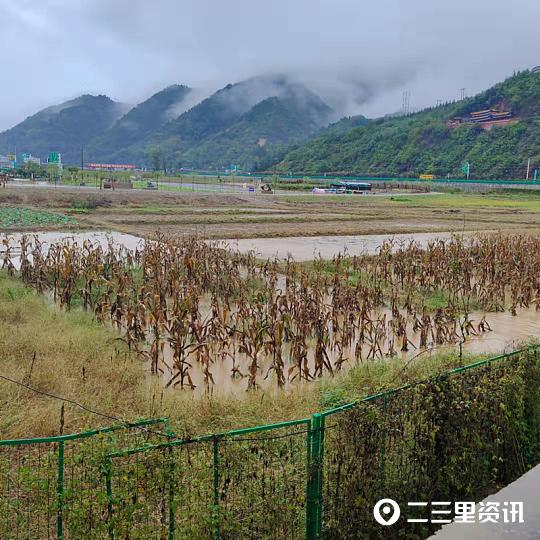 柞水最新新闻｜柞水资讯速递