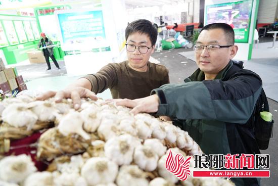 青岛港大豆近期市场报价