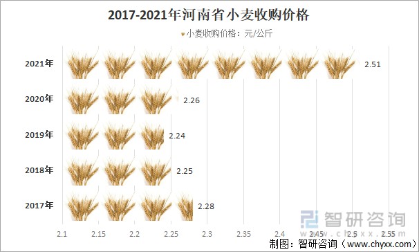 阜南地区最新小麦市场价格动态一览